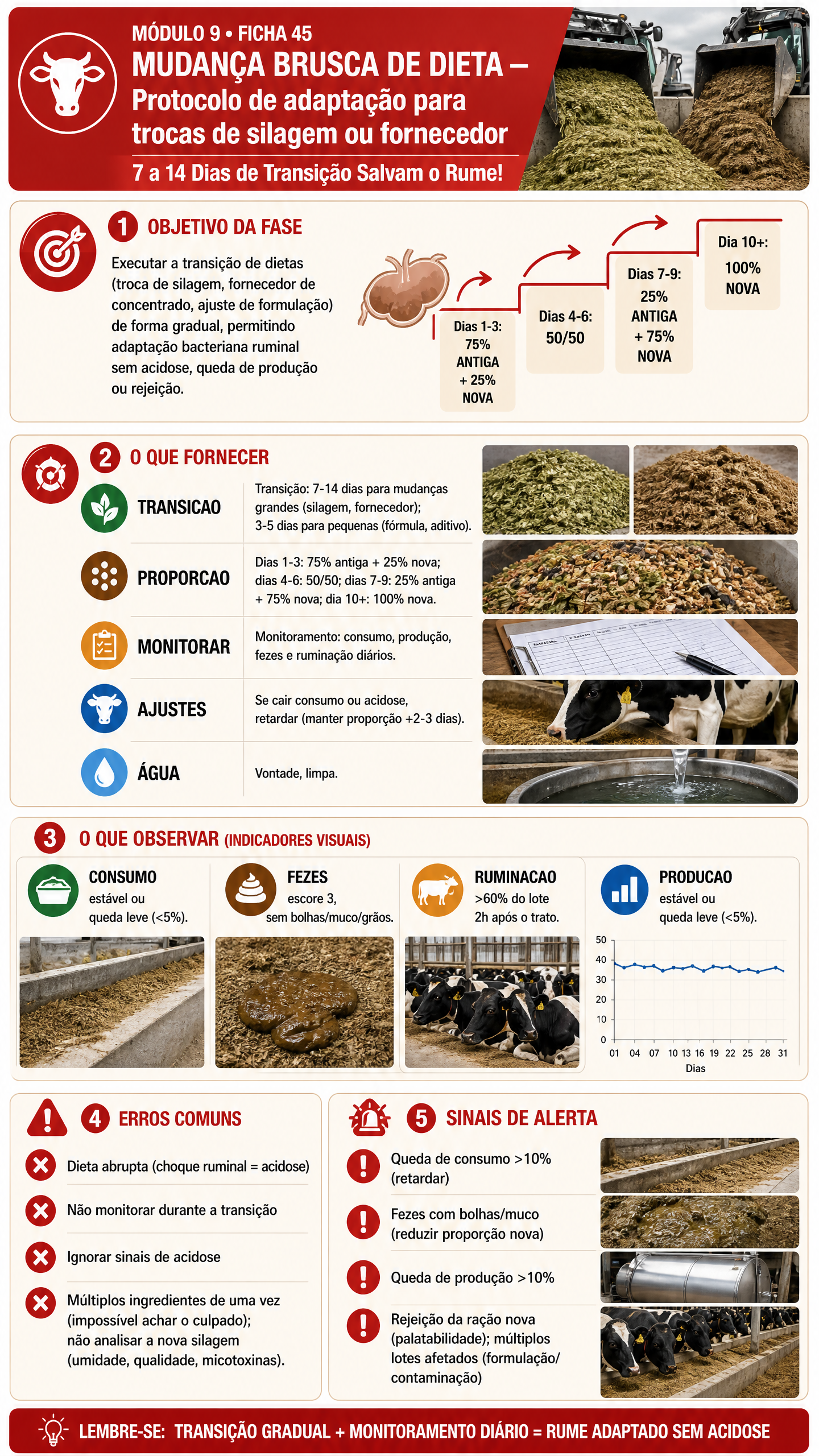 Ficha 45 Mudança Dieta