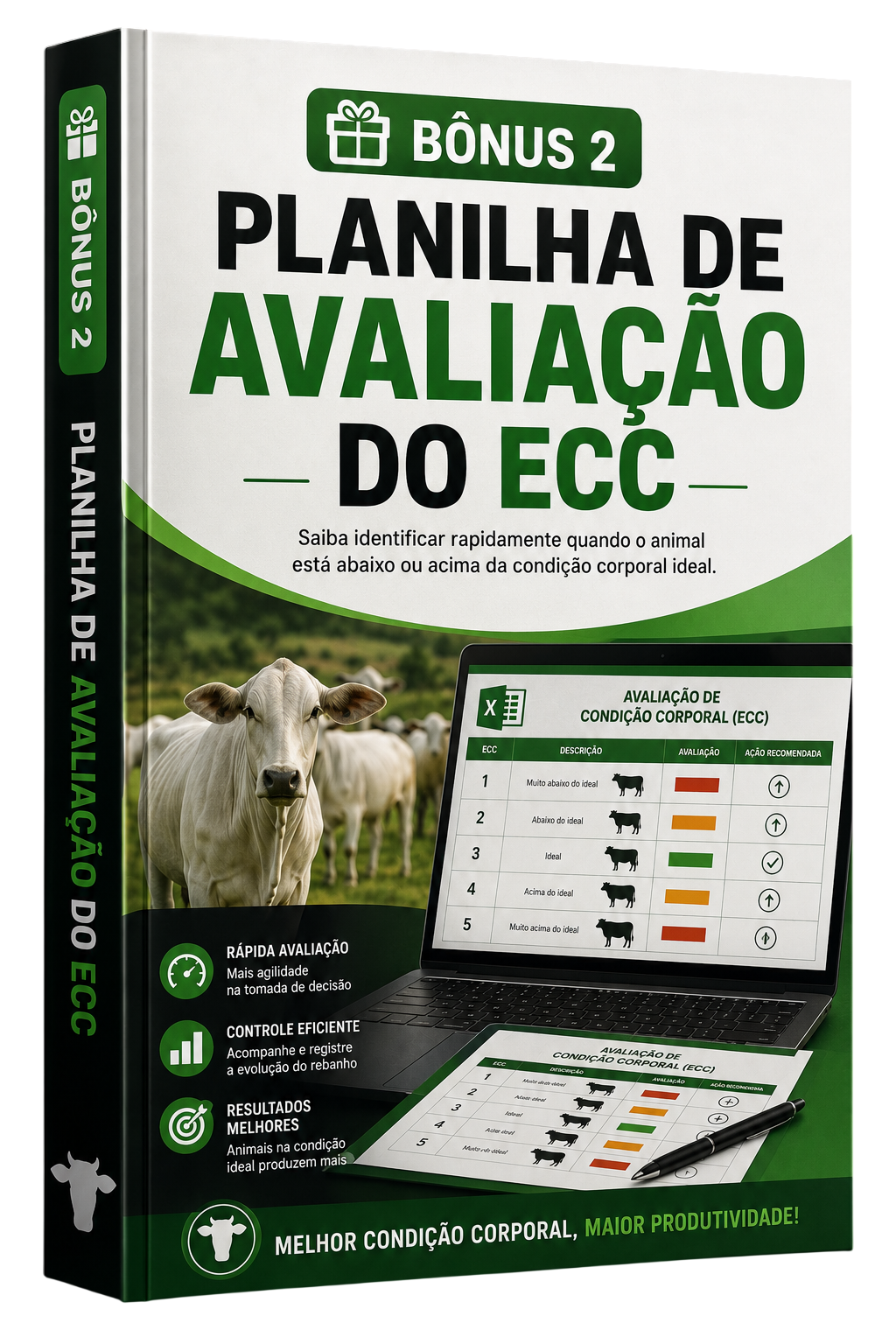 Planilha de Avaliação do ECC