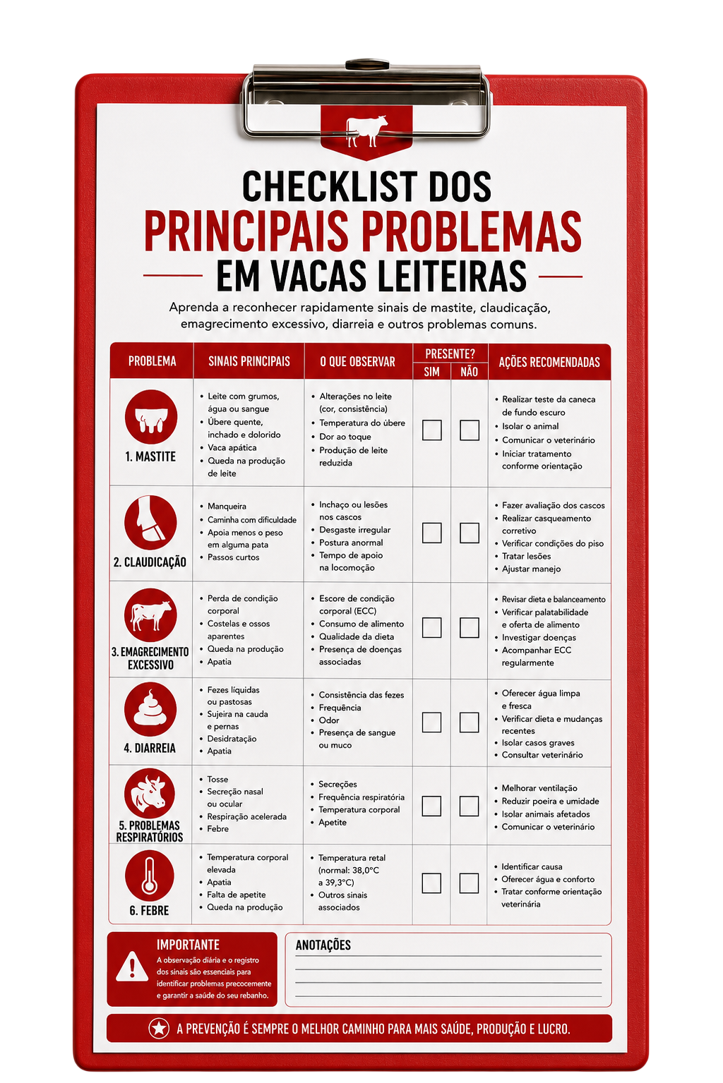 Checklist dos Principais Problemas