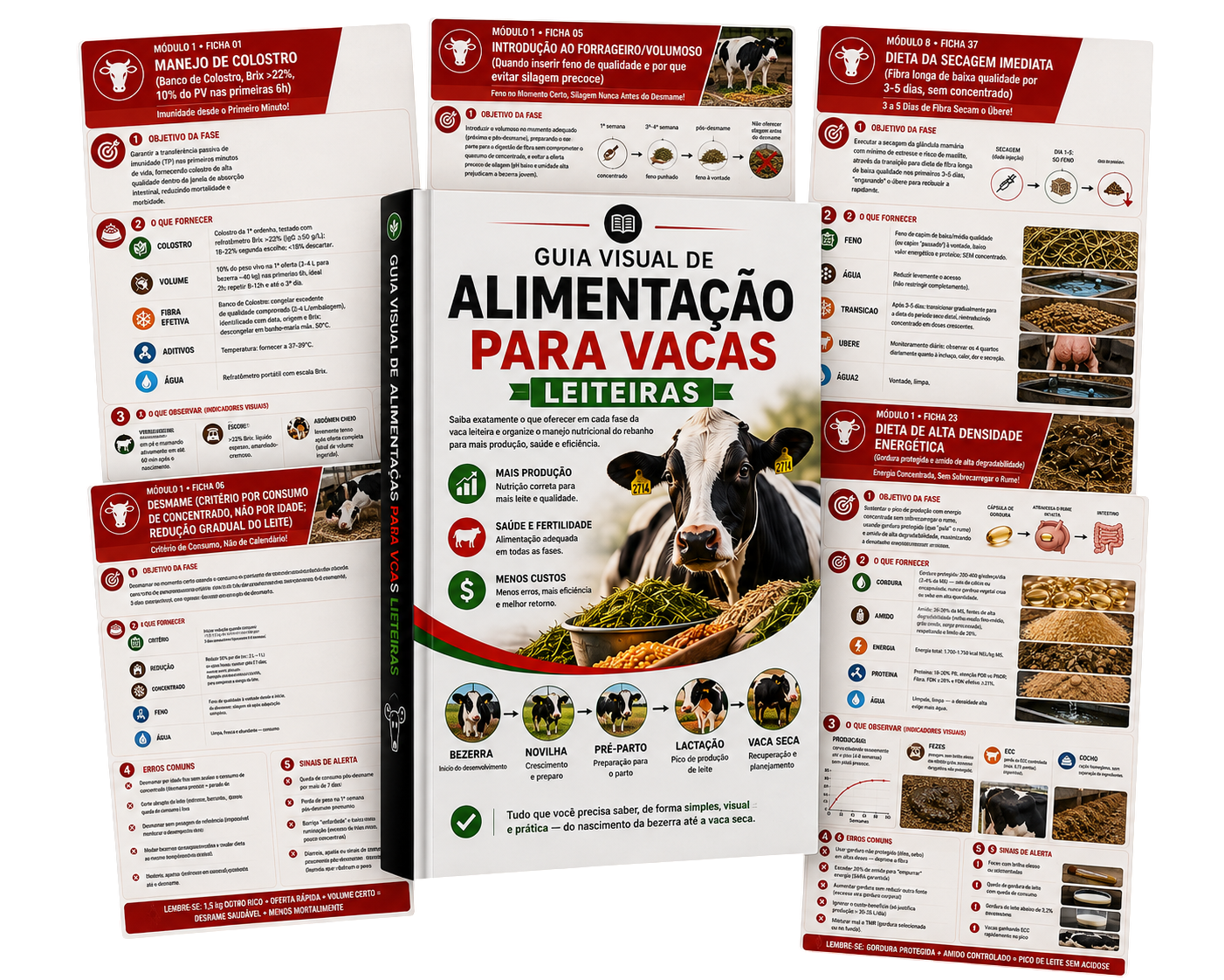 Plano Básico