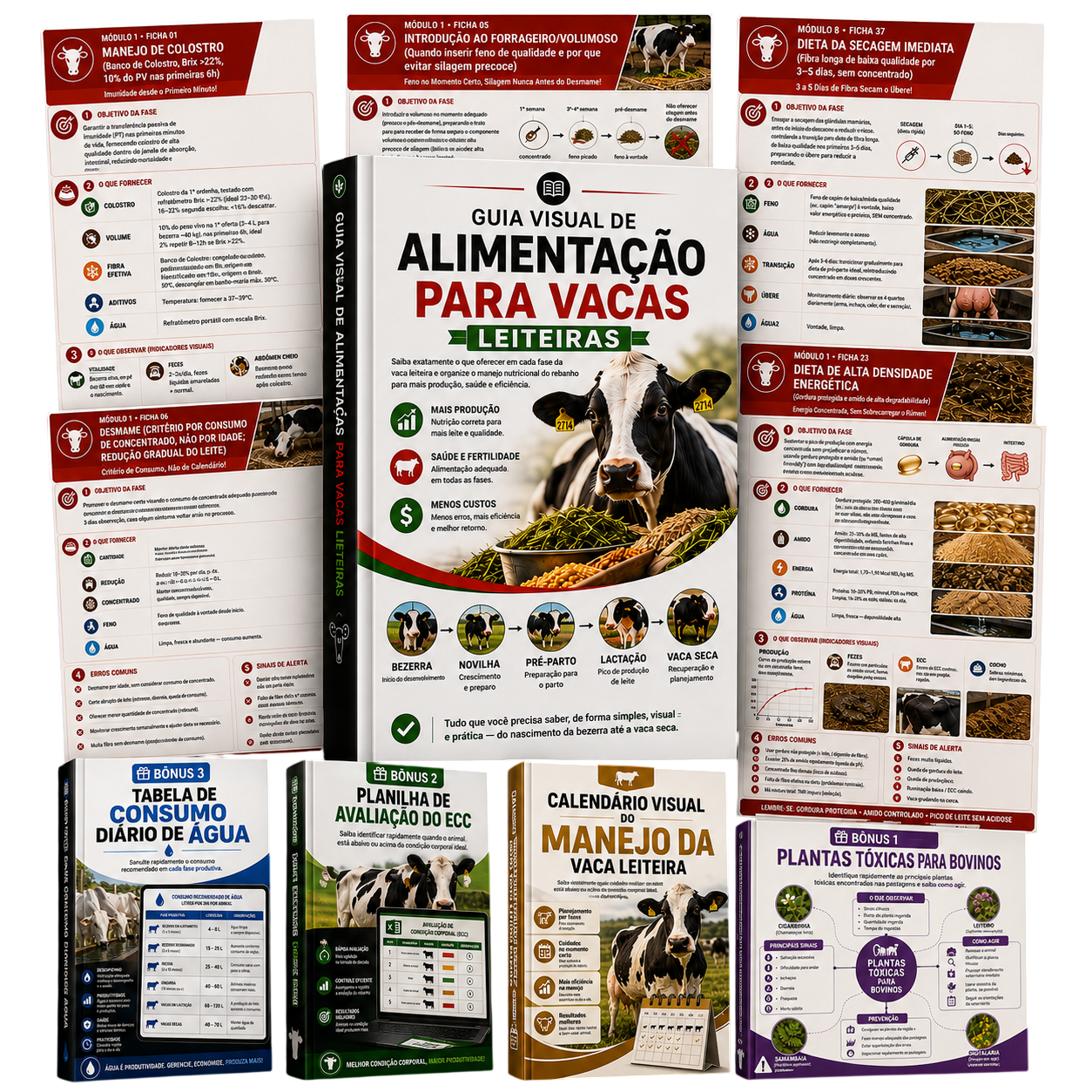 Guia Visual de Alimentação de Vacas Leiteiras