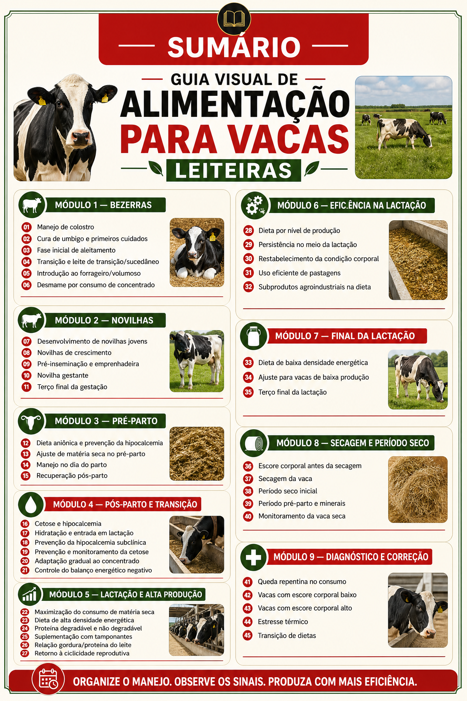 Sumário do Guia de Vacas
